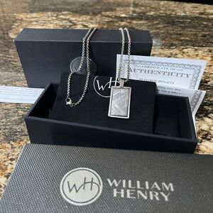 William Henry P43 Meteorite!!! Beautiful Piece.
